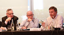 FICPI Program Committee Meeting, Lion